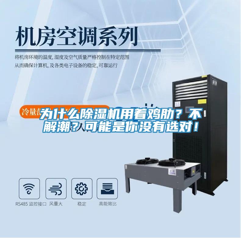 為什么除濕機(jī)用著雞肋？不解潮？可能是你沒有選對！