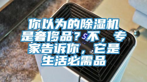 你以為的除濕機是奢侈品？不，專家告訴你，它是生活必需品