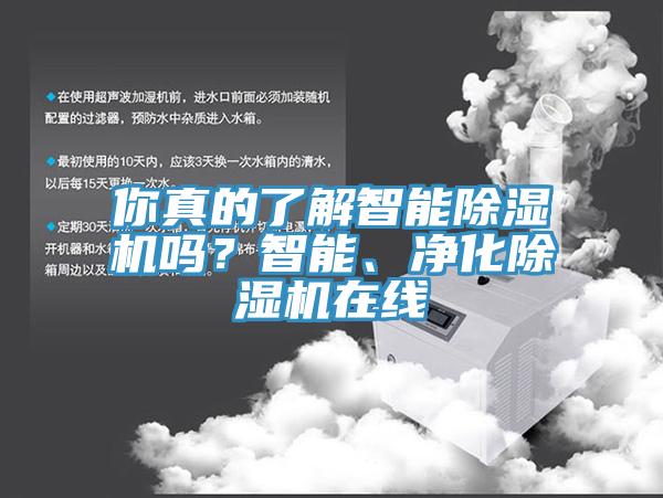 你真的了解智能除濕機嗎？智能、凈化除濕機在線