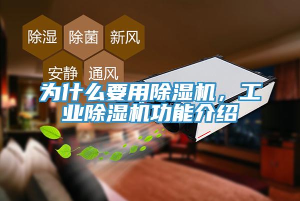 為什么要用除濕機，工業(yè)除濕機功能介紹