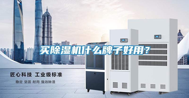 買(mǎi)除濕機(jī)什么牌子好用？