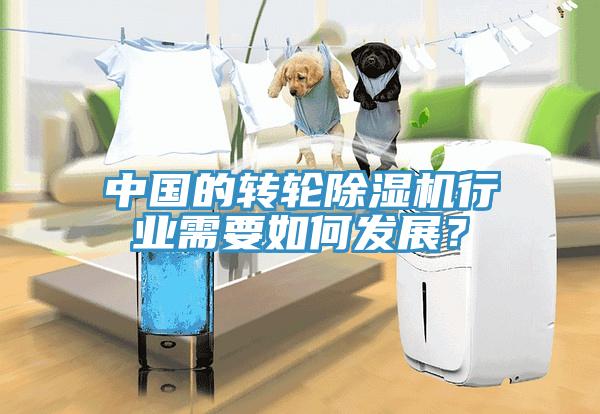 中國的轉(zhuǎn)輪除濕機(jī)行業(yè)需要如何發(fā)展？