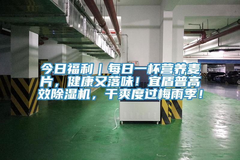 今日福利｜每日一杯營養(yǎng)麥片，健康又落味！宜盾普高效除濕機(jī)，干爽度過梅雨季！