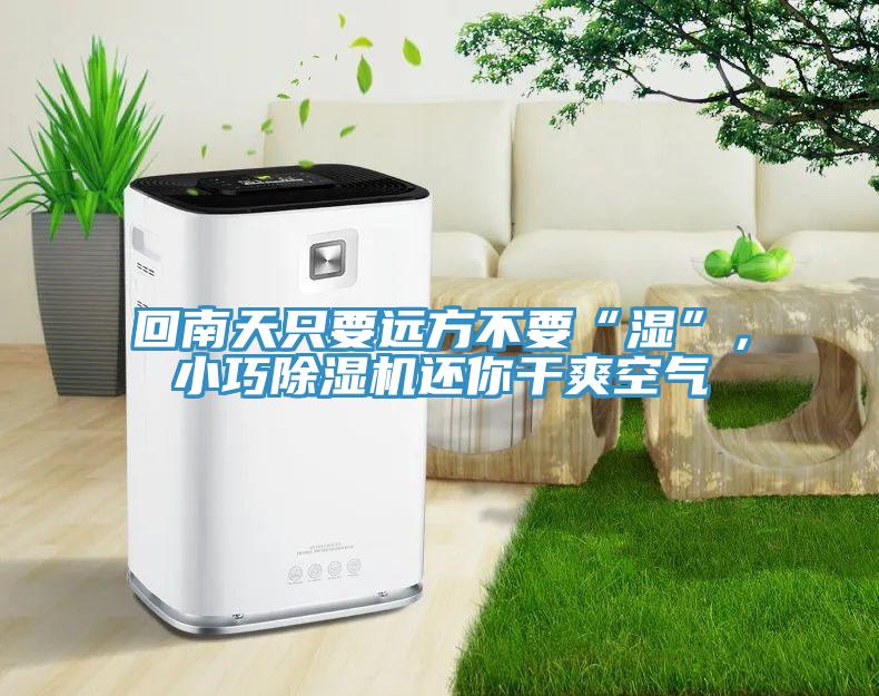 回南天只要遠(yuǎn)方不要“濕”，小巧除濕機(jī)還你干爽空氣