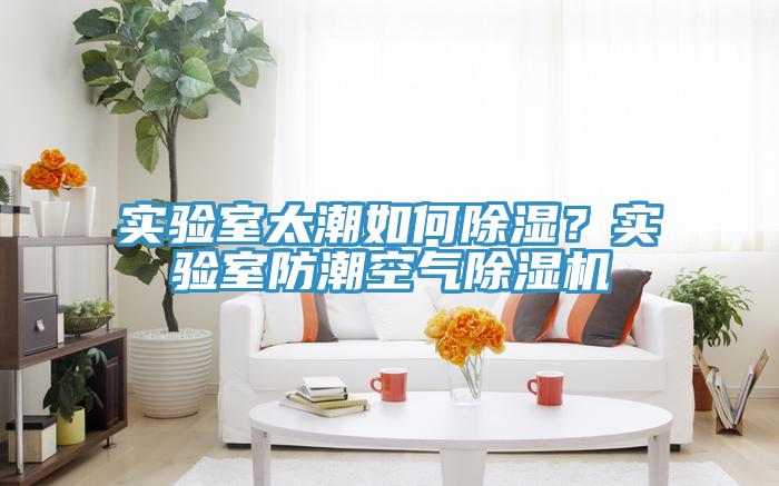 實驗室太潮如何除濕？實驗室防潮空氣除濕機