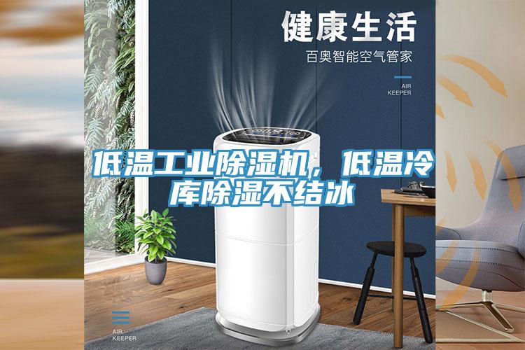 低溫工業(yè)除濕機(jī)，低溫冷庫(kù)除濕不結(jié)冰