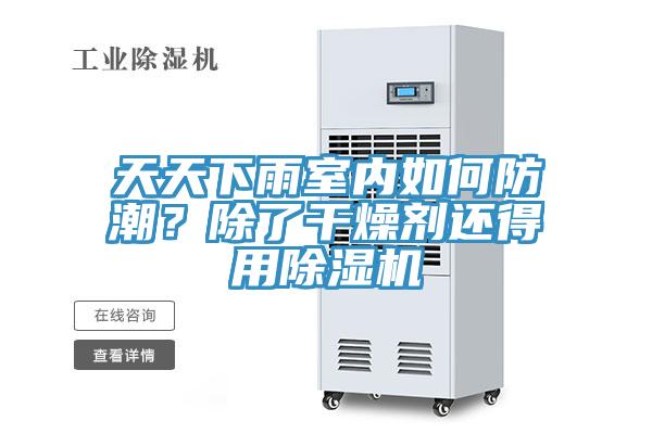 天天下雨室內(nèi)如何防潮？除了干燥劑還得用除濕機(jī)