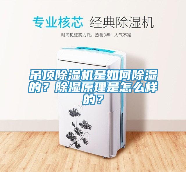 吊頂除濕機是如何除濕的？除濕原理是怎么樣的？
