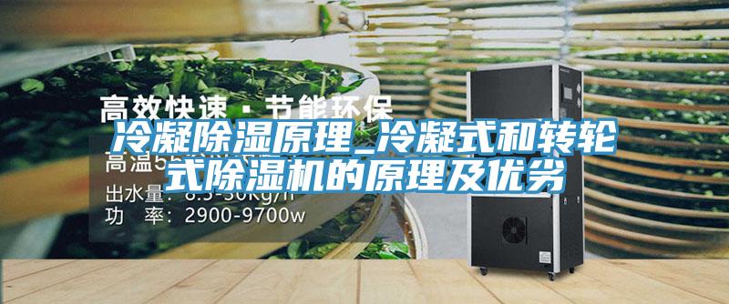 冷凝除濕原理_冷凝式和轉輪式除濕機的原理及優(yōu)劣
