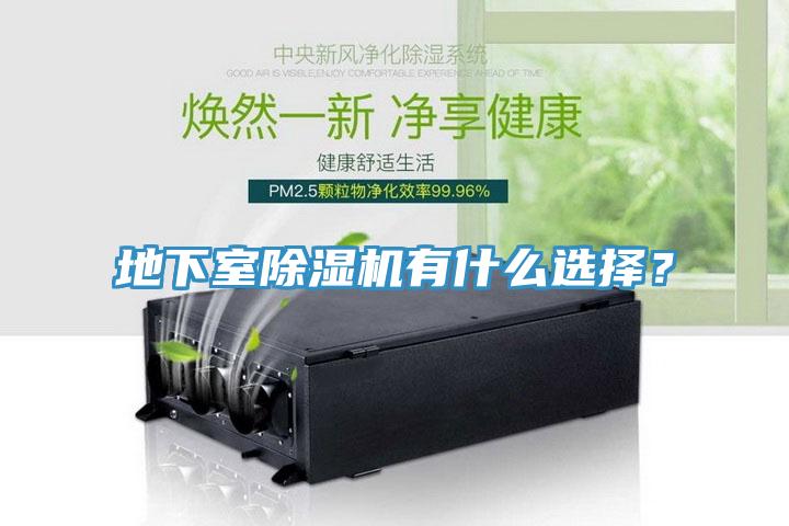 地下室除濕機(jī)有什么選擇？