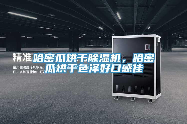哈密瓜烘干除濕機，哈密瓜烘干色澤好口感佳