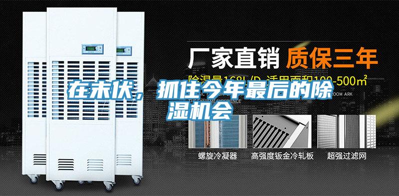 在末伏，抓住今年最后的除濕機會