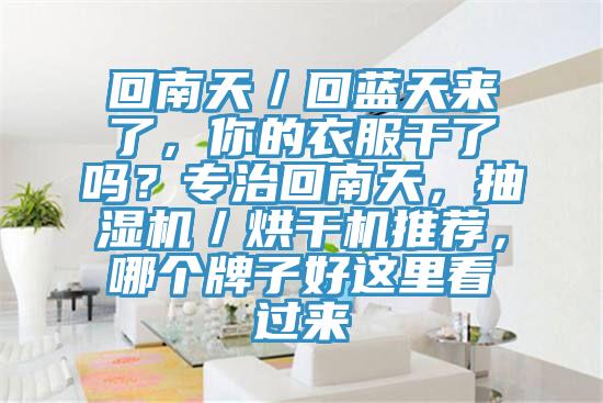 回南天／回藍(lán)天來了，你的衣服干了嗎？專治回南天，抽濕機(jī)／烘干機(jī)推薦，哪個牌子好這里看過來