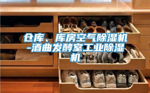 倉庫、庫房空氣除濕機-酒曲發(fā)酵室工業(yè)除濕機