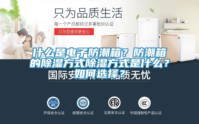 什么是電子防潮箱？防潮箱的除濕方式除濕方式是什么？如何選擇？