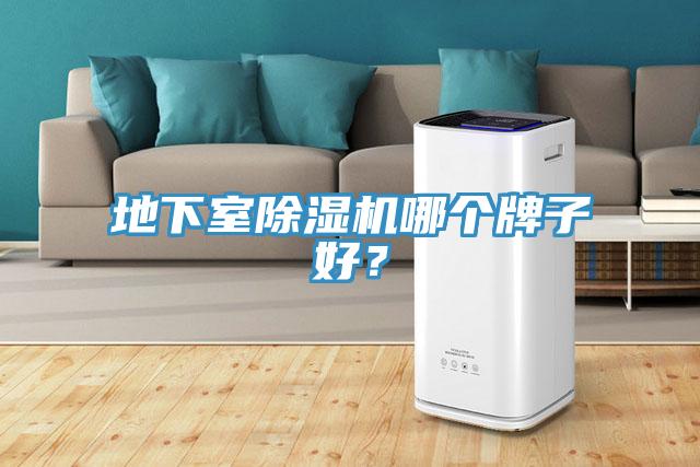 地下室除濕機(jī)哪個牌子好？