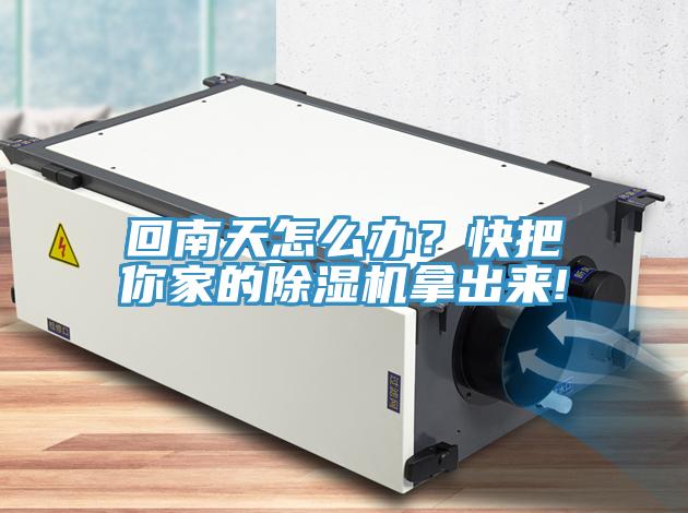 回南天怎么辦？快把你家的除濕機拿出來!