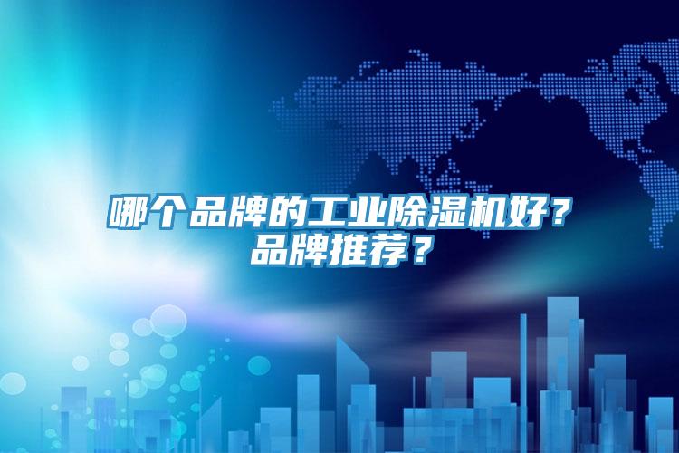 哪個品牌的工業(yè)除濕機好？品牌推薦？