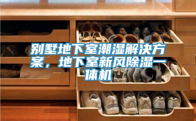 別墅地下室潮濕解決方案，地下室新風(fēng)除濕一體機(jī)