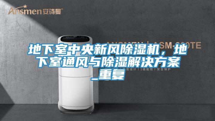 地下室中央新風(fēng)除濕機(jī)，地下室通風(fēng)與除濕解決方案_重復(fù)