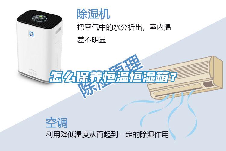 怎么保養(yǎng)恒溫恒濕箱？