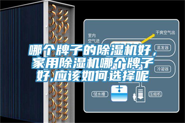哪個牌子的除濕機好，家用除濕機哪個牌子好,應該如何選擇呢