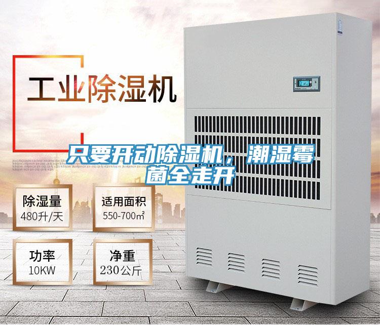 只要開動除濕機，潮濕霉菌全走開