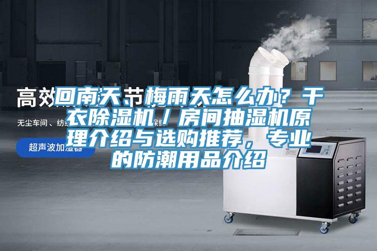 回南天、梅雨天怎么辦？干衣除濕機(jī)／房間抽濕機(jī)原理介紹與選購?fù)扑]，專業(yè)的防潮用品介紹