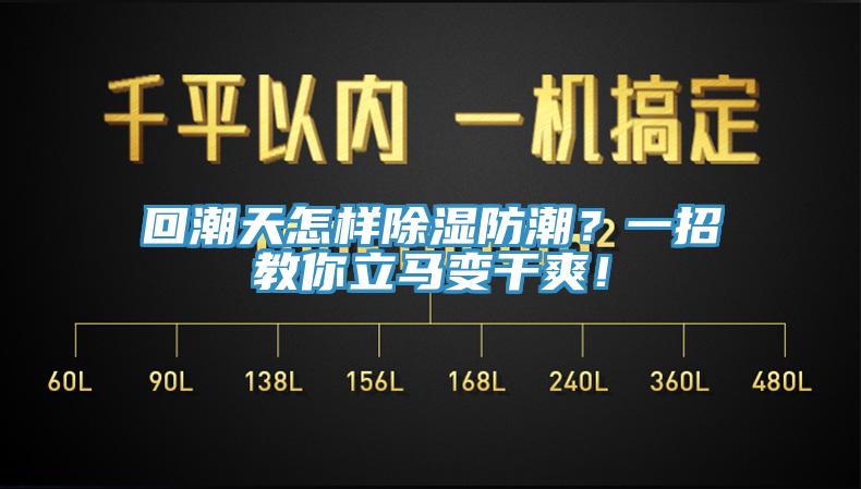 回潮天怎樣除濕防潮？一招教你立馬變干爽！