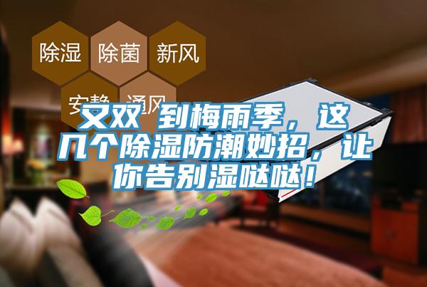 又雙叒到梅雨季，這幾個除濕防潮妙招，讓你告別濕噠噠！