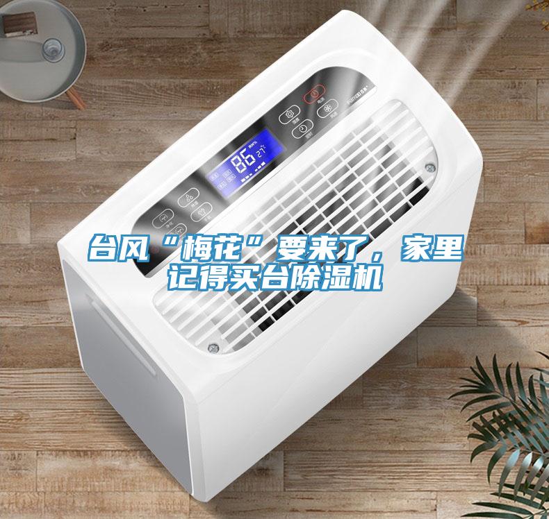 臺(tái)風(fēng)“梅花”要來了，家里記得買臺(tái)除濕機(jī)