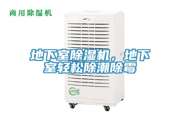 地下室除濕機(jī)，地下室輕松除潮除霉