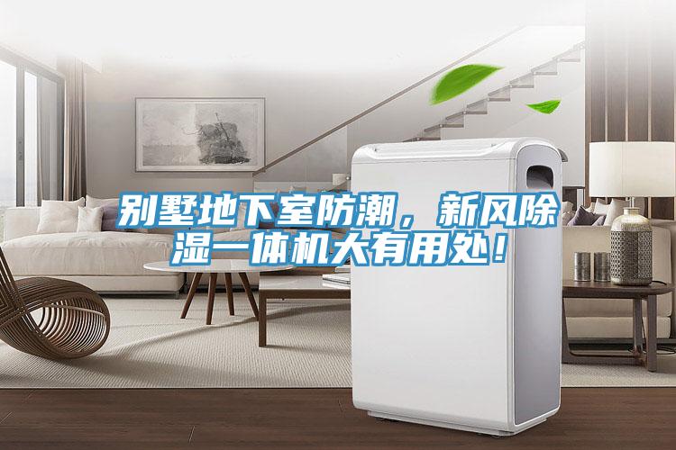 別墅地下室防潮，新風(fēng)除濕一體機(jī)大有用處！