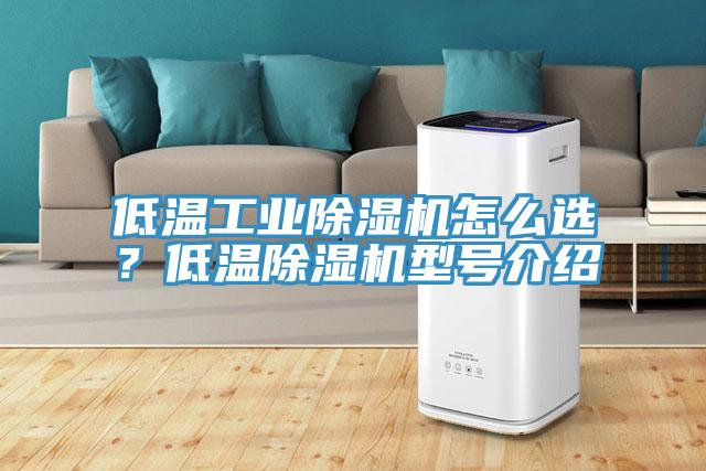 低溫工業(yè)除濕機(jī)怎么選？低溫除濕機(jī)型號(hào)介紹