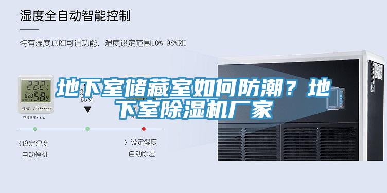 地下室儲(chǔ)藏室如何防潮？地下室除濕機(jī)廠家