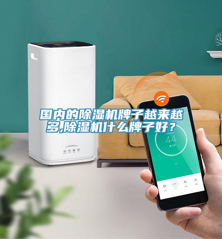 國內(nèi)的除濕機(jī)牌子越來越多,除濕機(jī)什么牌子好？