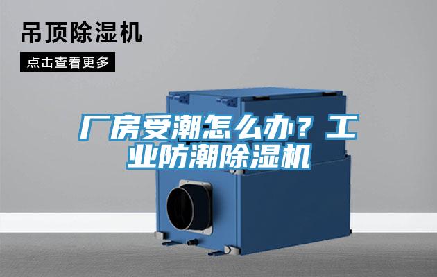 廠房受潮怎么辦？工業(yè)防潮除濕機(jī)