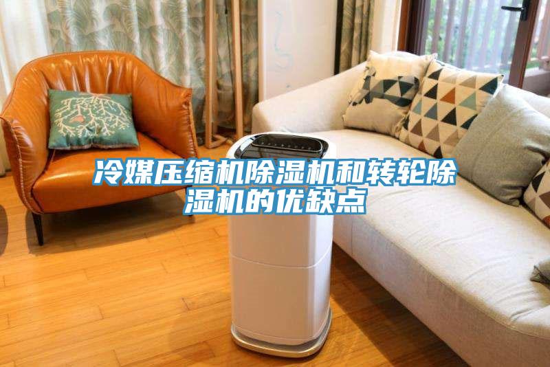 冷媒壓縮機除濕機和轉輪除濕機的優(yōu)缺點