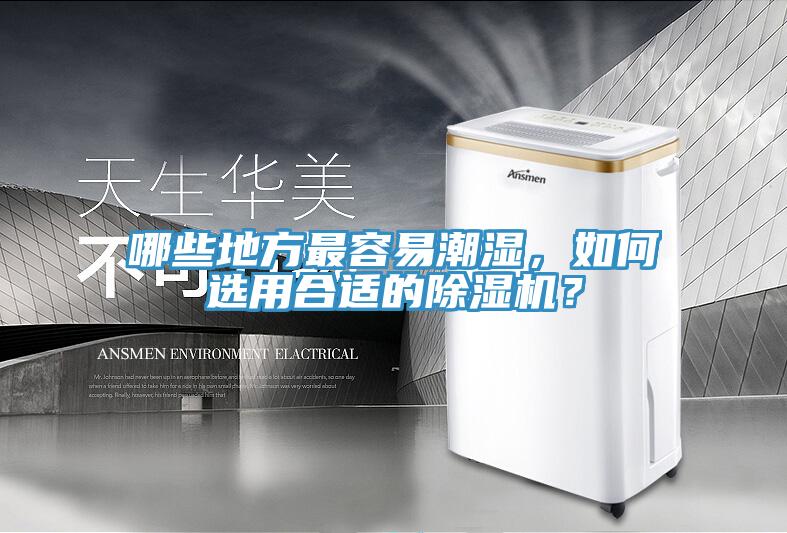 哪些地方最容易潮濕，如何選用合適的除濕機(jī)？