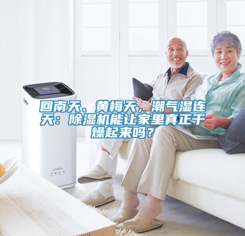 回南天、黃梅天，潮氣濕連天：除濕機(jī)能讓家里真正干燥起來嗎？