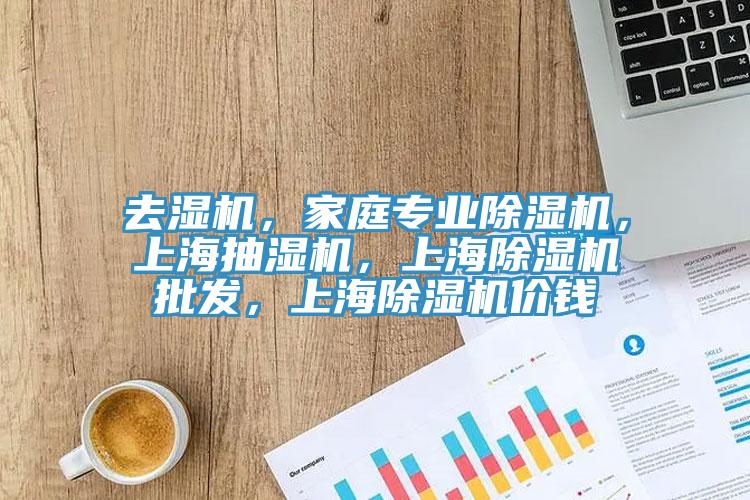 去濕機，家庭專業(yè)除濕機，上海抽濕機，上海除濕機批發(fā)，上海除濕機價錢