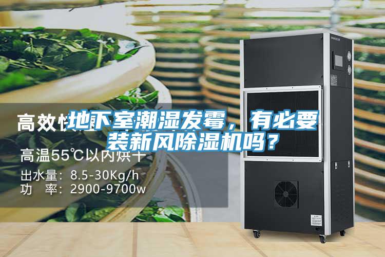 地下室潮濕發(fā)霉，有必要裝新風除濕機嗎？