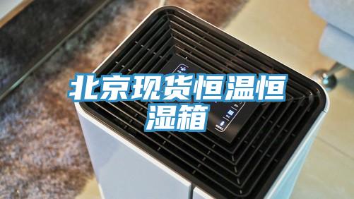 北京現貨恒溫恒濕箱