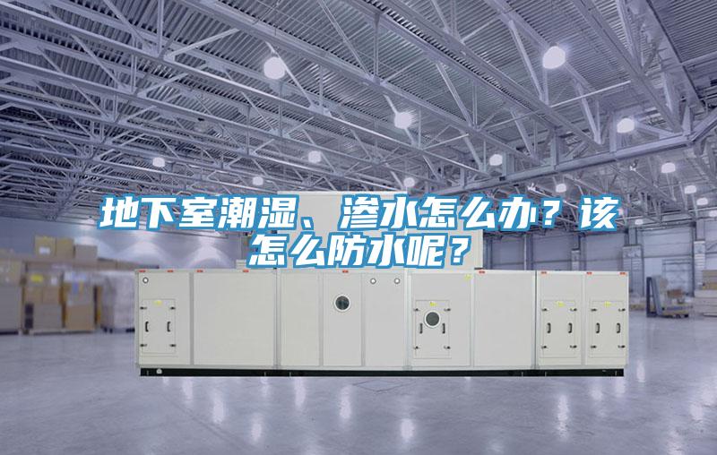 地下室潮濕、滲水怎么辦？該怎么防水呢？