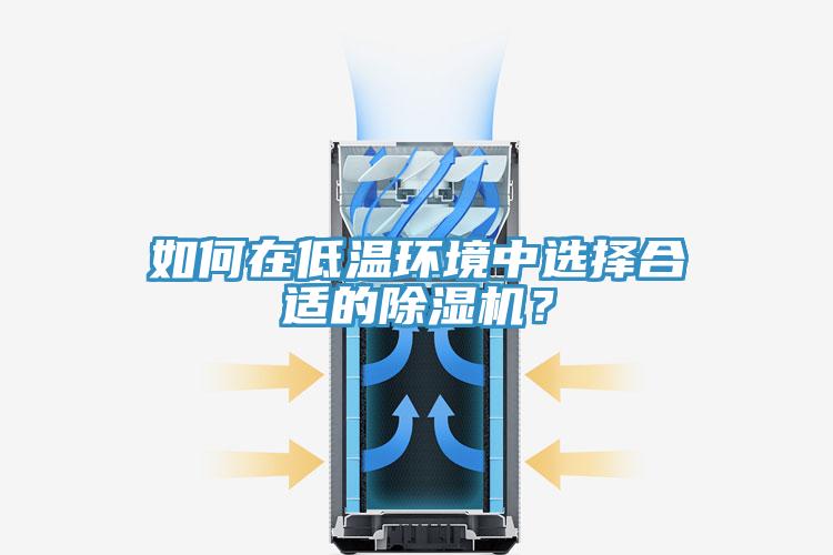 如何在低溫環(huán)境中選擇合適的除濕機？
