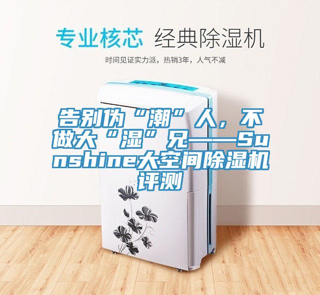 告別偽“潮”人，不做大“濕”兄——Sunshine大空間除濕機(jī)評(píng)測(cè)