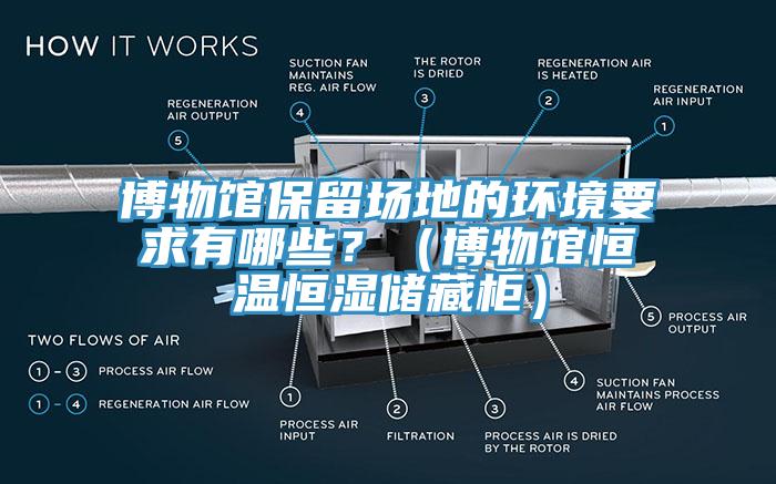 博物館保留場地的環(huán)境要求有哪些？（博物館恒溫恒濕儲藏柜）