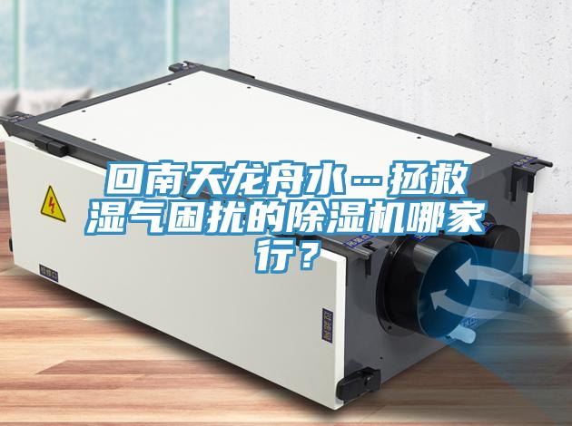 回南天龍舟水…拯救濕氣困擾的除濕機哪家行？
