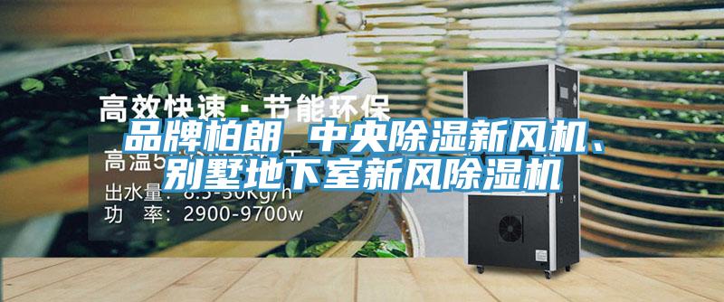 品牌柏朗 中央除濕新風機、別墅地下室新風除濕機