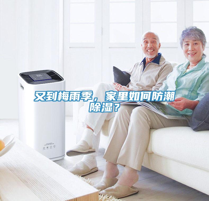 又到梅雨季，家里如何防潮除濕？